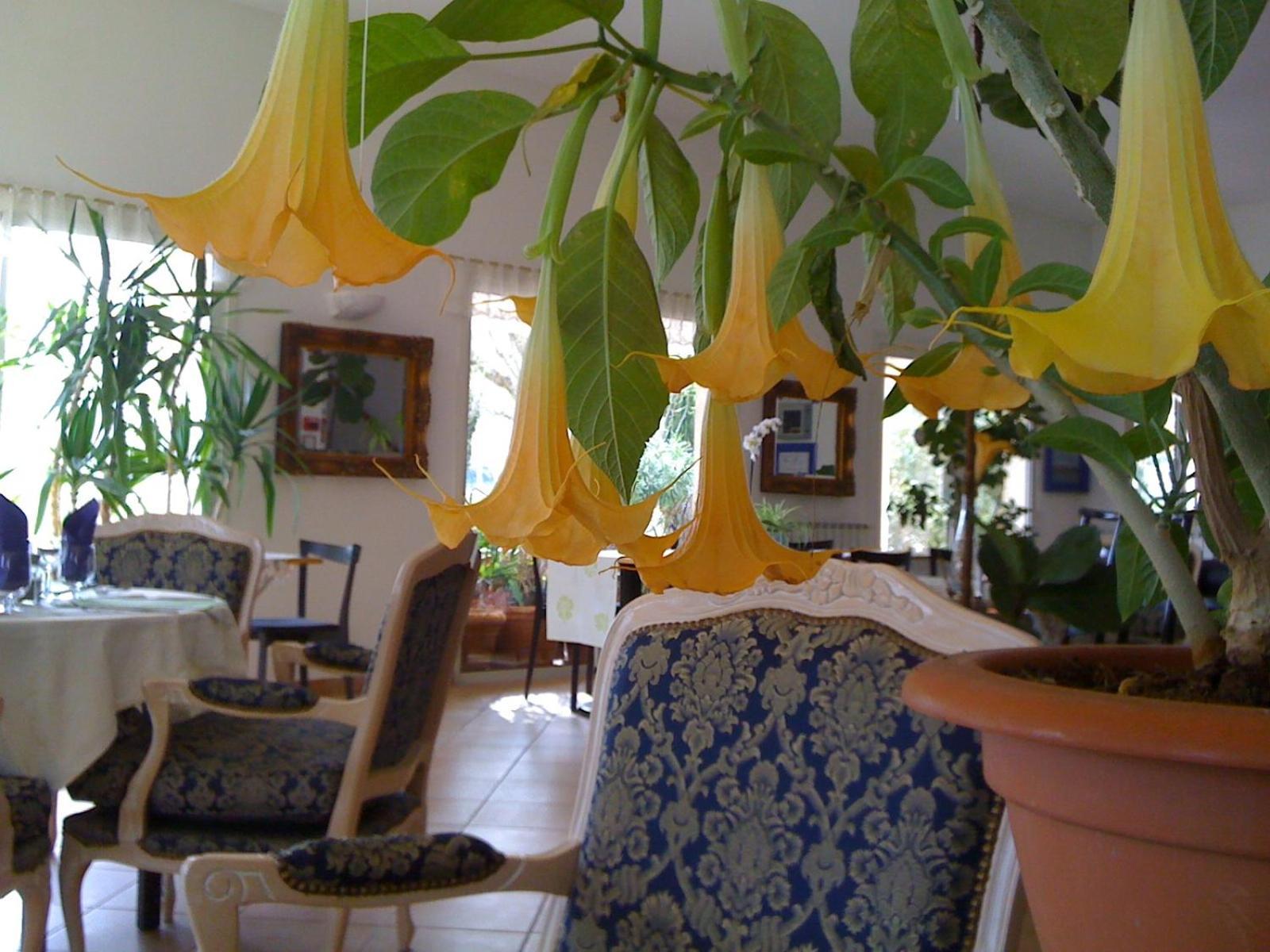 La Fontaine Hotel Vidauban Luaran gambar